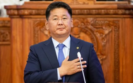 Өмнөговьд гадаадын иргэн, ААН-д газар олгосныг Ерөнхийлөгч онцгой анхаарч, шуурхай шалгахыг ЗГ-т чиглэл болгосон