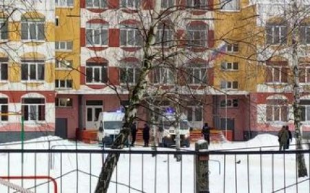 Өсвөр насны охин ангийнхаа охиныг болон өөрийгөө буудан хөнөөжээ