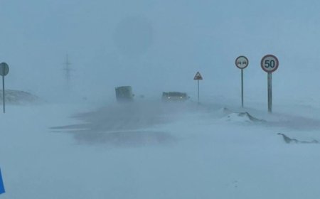 Зүүн аймгуудын нутгаар цас орж, цасаар шуурахыг анхааруулж байна