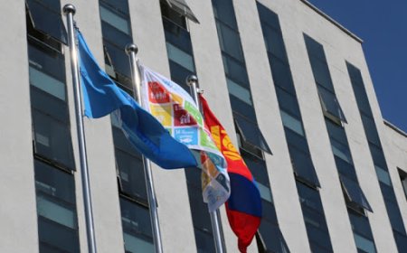 Дауны хам шинжтэй хүмүүстэй холбогдуулан “Монгол” гэдэг үгийг хэрэглэхийн эсрэг тэмцэнэ