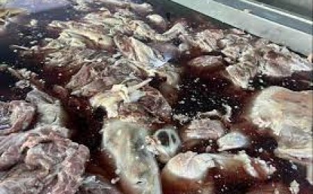 Эмээлтийн махны үйлдвэртэй холбоотой эрүүгийн хэргийн шүүх хурал орчуулагч ирээгүй шалтгаанаар дахин хойшлов