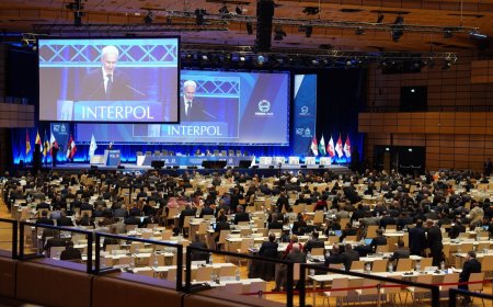 “Шувуу” ажиллагааны хүрээнд шинээр нэг хүнийг интерполоор эрэн сурвалжилж эхэллээ