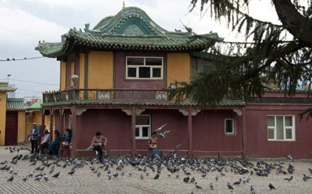 Хөхөчгин могой өдөр. Балжиннямтай өдөр