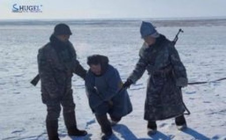 Хилчид төөрч, осгосон малчны амийг аварчээ