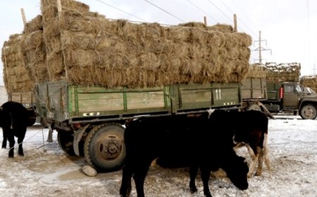 Өвөлжилтийн бэлтгэл ажлыг хангахын тулд  25 тонн дизель түлш нийлүүлэхээр шийдвэрлэв