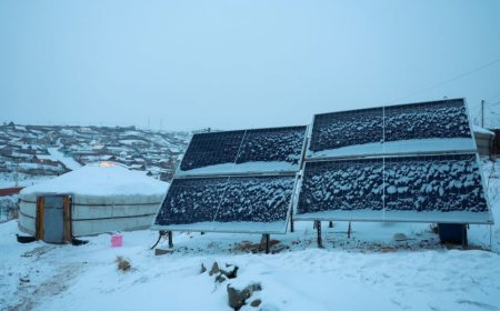 СЭРГЭЭГДЭХ ЭРЧИМ ХҮЧ АШИГЛАН ЗУУХ, ТҮЛШНИЙ ХЭРЭГЛЭЭГ ХАЛЖЭЭ