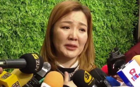 Сэтгүүлч Н.Өнөрцэцэгийн гэр бүл: Миний дүү хоригдох хэмжээний хэрэг хийгээгүй