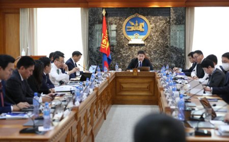 Төрийн албан хаагчдыг цахимд шилжүүлэх эсэхийг Засгийн газар  шийднэ