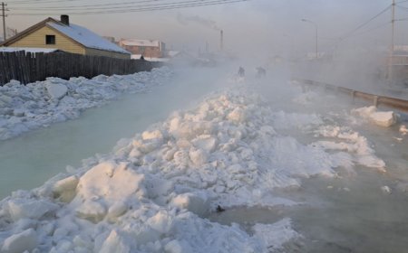 Ховд голд халиа үүсэж, малчин айлын малын хашаа усанд автжээ