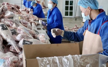 Өвөрхангай аймгаас Иран улс руу мах экспортолж байна