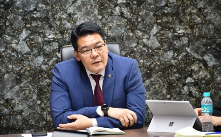 С.Энхболд: Томуу, томуу төст өвчний 4-5 төрлийн вирус дэгдэж байна