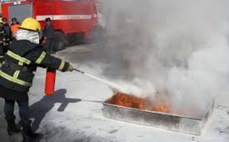 "Улаанбаатар гурил" ХХК-ийн гурилын үйлдвэрийн агуулах шатлаа