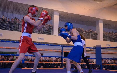 БОКСЫН АВАРГА ШАЛГАРУУЛАХ НЭЭЛТТЭЙ ТЭМЦЭЭНЭЭС АЛТ, МӨНГӨН МЕДАЛИЙГ ХҮРТЛЭЭ