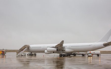 Хүний наймааны хэргээр саатуулсан онгоцонд нисэх зөвшөөрөл олгожээ