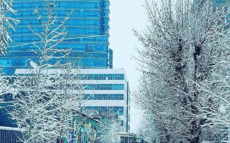 Улаанбаатарт цас орохгүй, 14 хэм хүйтэн