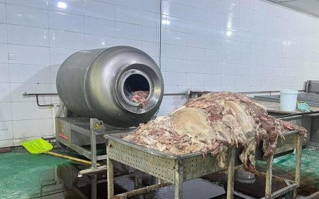 Эмээлтийн махны үйлдвэр"-ийн хэрэгт холбогдсон хятад иргэнийг ₮25 сая, компанийг ₮70 саяар торголоо