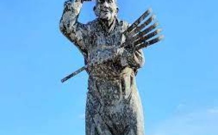 Өдрийн наран 8 цаг 41 минутад мандан, 17 цаг 06 минутад жаргана