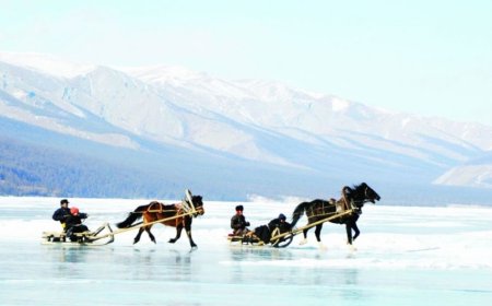 Өнөө маргаашдаа нийт нутгаар цаг агаар тогтуун, өдөртөө хүйтний эрч суларна