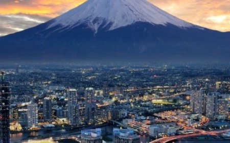 Япон улсад амьдарч буй монгол иргэдийн АНХААРАЛД