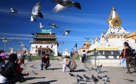 Өвлийн дунд хөх хулгана сарын билгийн тооллын 22. Буд гараг