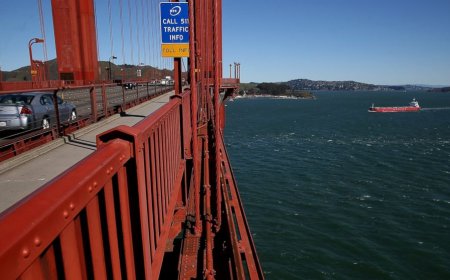 Сан Францискогийн гүүрэнд амиа хорлолтоос сэргийлэх торыг бүрэн суурилуулж дуусжээ