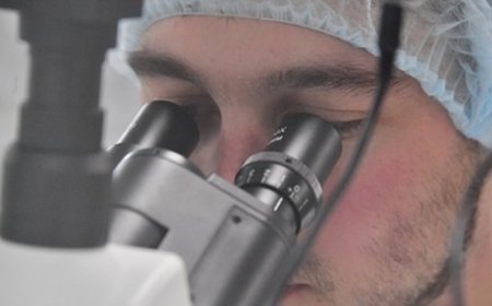 Хорт хавдрын эсийг 99 хувь устгах шинэ арга олжээ