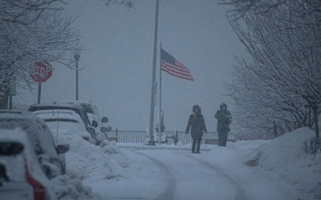 АНУ-ын мужуудад их хэмжээний цас орж, дөрвөн хүн амиа алджээ