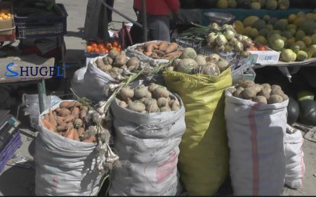 ЦЕГ: 100 шуудай хүнсний ногоо хулгайлсан этгээдийг илрүүллээ