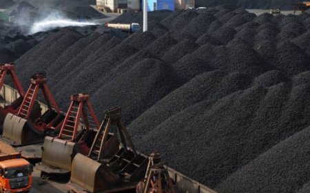 "Нүүрсний" гэх хэргийг хянан шалгах түр хороог татан буулгажээ