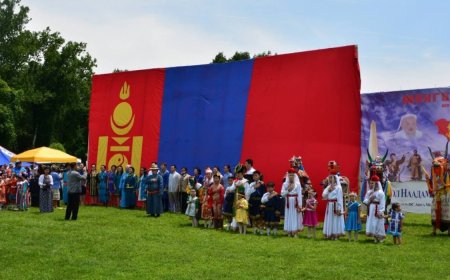 Гадаадыг зорьж буй Монголчуудын тоо өмнөх онтой харьцуулбал 50 хувиар өсжээ