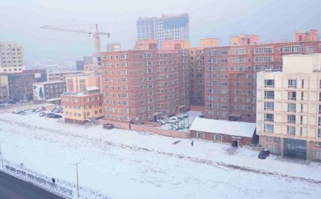 Урт цагааны барилгыг буулгаж, хогийг тээвэрлэн газрыг чөлөөллөө