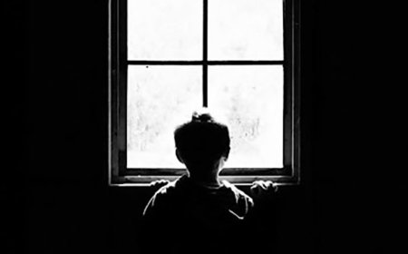 Эцэг эх нь тодорхойгүй охин түр хамгаалах байранд 6 сар амьдарч байна