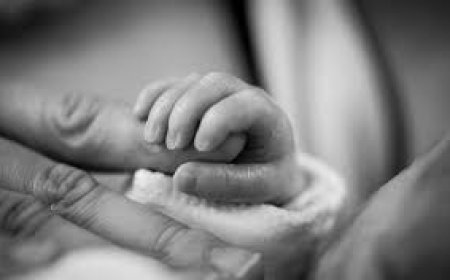 Өнгөрсөн онд 195 эх гэртээ төржээ