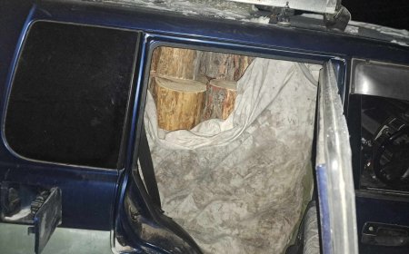 Богдхан уулнаас зөвшөөрөлгүй мод бэлтгэсэн этгээдүүдийг илрүүлж,  техник, хэрэгслийг нь битүүмжиллээ