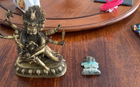 Хууль бусаар олж авсан түүхэн дурсгалт зүйлийг гадаадын иргэнд худалдсаныг илрүүлжээ