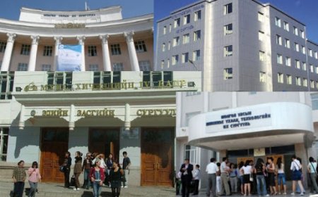 Их сургуулиуд цагаан сарын хичээлийг цахимд шилжүүлнэ