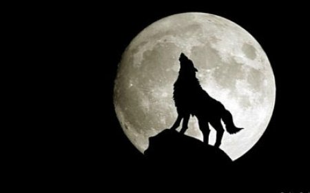 2024 оны анхны тэргэл сар өнөө шөнө гарна