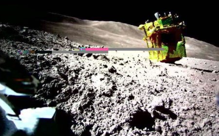 Японы сарнаа буугч аппарат ажиллаж эхэлжээ