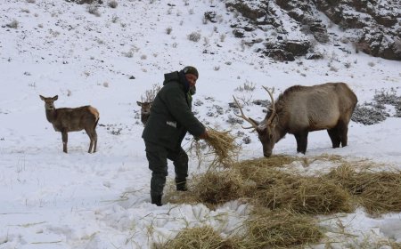 Улаанбаатарт цас орохгүй,  13 хэм хүйтэн