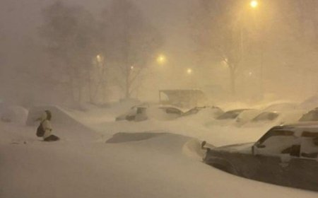 ОХУ-ын Алс Дорнодын Сахалин мужид урд өмнө нь болж байгаагүй байгалийн аюулт үзэгдэл тохиолоо