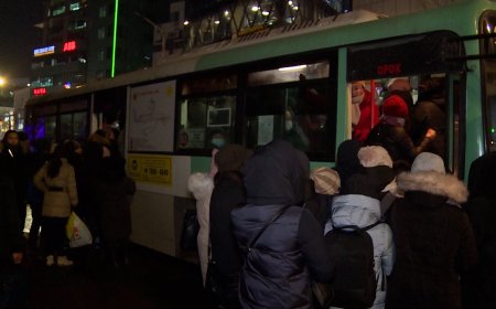 Автобусны чиглэлийн мэдээллийг буудлуудад бүрэн байршуулаагүйгээс хүүхдүүд төөрч будилж байна