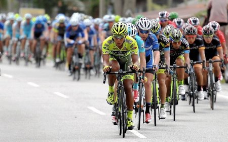 Монголын дугуйчин С.Жамбалжамц тавдугаар байрт жагсаж байна