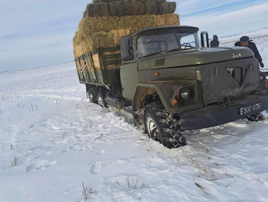 126, 326 дугаар ангийн цэргийн албан хаагчид өвөлжилт хүндэрсэн сумуудад туслахаар явлаа