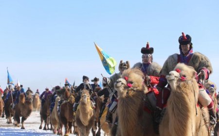 “Түмэн тэмээний баяр”-ыг гадна, дотоодын 8475 жуулчин үзжээ