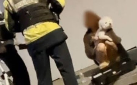 Олон нийтэд алдартай DJ согтуугаар тээврийн хэрэгсэл жолоодож, хүний аминд хүрчээ