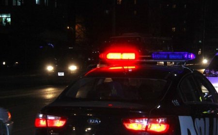 Хашаа мөргөсөн суудлын автомашины жолооч газар дээрээ амь насаа алджээ