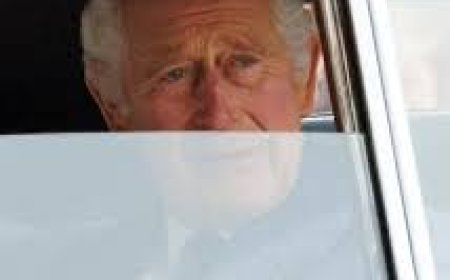 Их Британийн хаан III Чарльз хорт хавдартай болсныг зарлав