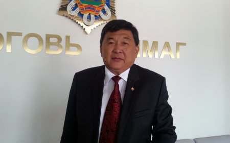 Газар нутгийг хятадуудад эзэмшүүлсэн гэх  Б.Бадрааг  хилээр орж ирмэгч нь цагдан хорьжээ