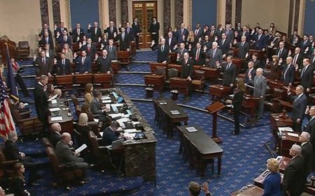 АНУ-ын сенат Украин, Израил,Тайваньд туслах $95 тэрбумын багцыг баталлаа