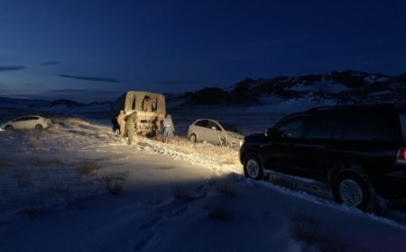 14 суудлын автомашин цасанд суусан байсныг татан гаргажээ